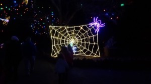 spider-denver-zoo-lights